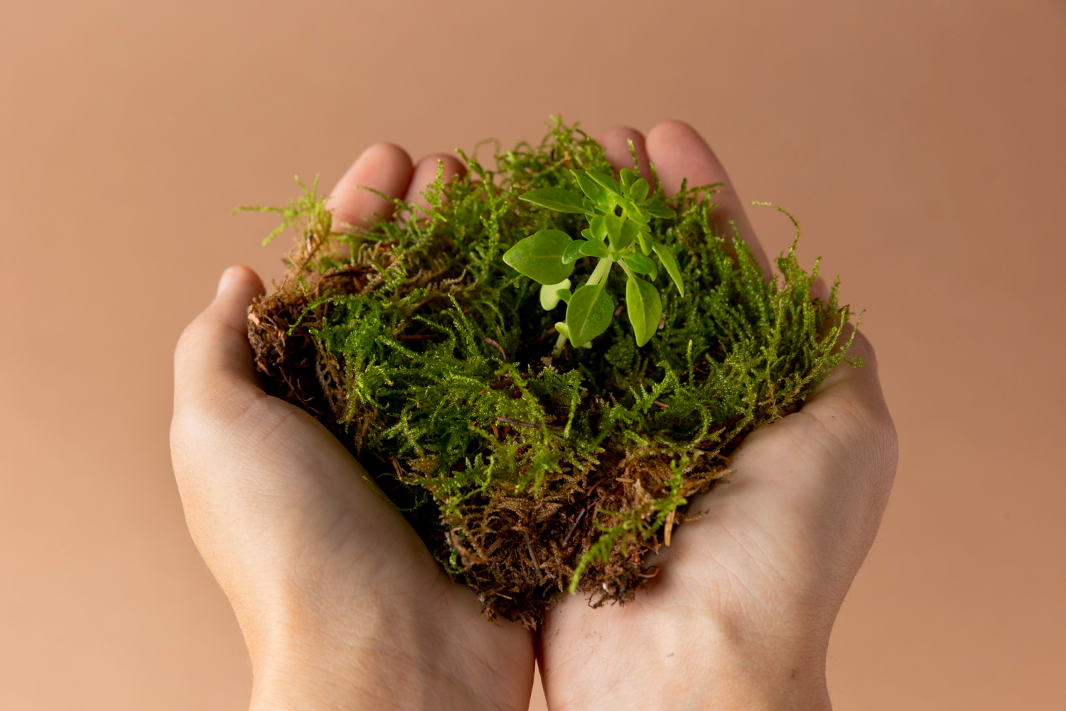 Delega di funzioni in materia ambientale